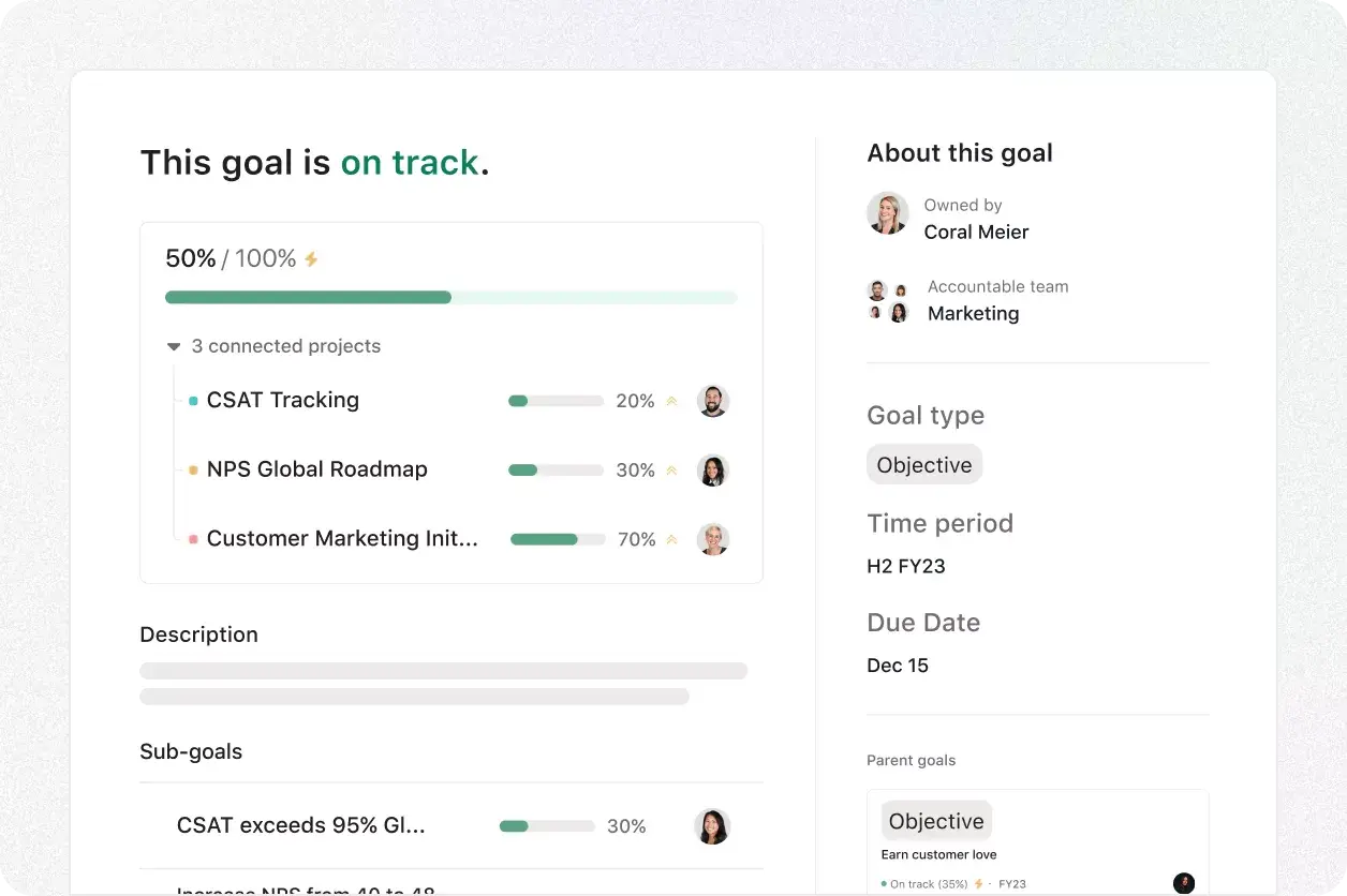 Asana features-goals